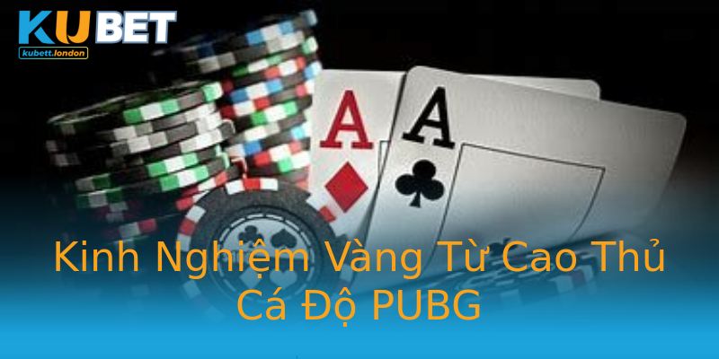Kinh Nghiệm Vàng Từ Cao Thủ Cá Độ PUBG Kinh Nghiệm Vàng Từ Cao Thủ Cá Độ PUBG